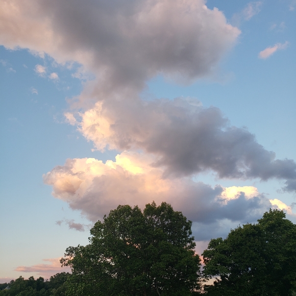 Meet your Posher, Christina - Picture 3 of 3